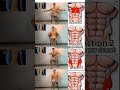 A chair to exercise your stomach 💪 and body 👁️ #trending #fitness #motivation @RaghvindraSinghji