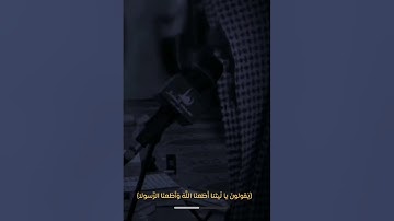 ﴿يوم تقلب وجوههم في النار يقولون يا ليتنا أطعنا الله وأطعنا الرسولا﴾ #تلاوة