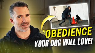 A Fun Way to Play & Exercise Your Dog While Boosting Obedience! by Nate Schoemer 48,546 views 4 weeks ago 6 minutes, 25 seconds