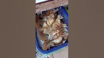 mau di buat ikan bakar sambal kecap