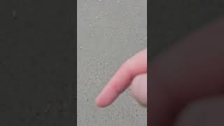 arbcore арбитраж