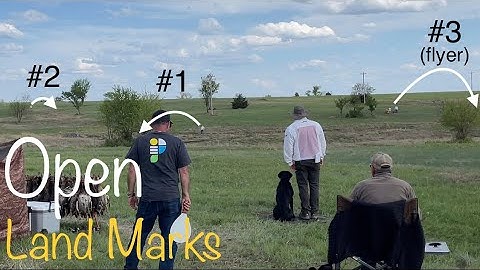 Retriever Field Trial: Open 1st Series