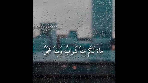 هو الذي أنزل من السماء ماء لكم منه شراب ومنه شجر فيه تسيمون - سورة النحل - عبد الباسط عبد الصمد