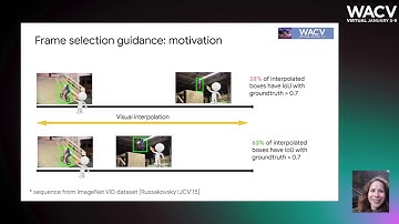 740 - Efficient video annotation with visual interpolation and frame selection guidance