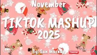 Tiktok Mashup November 💖2025💖 (Not Clean)