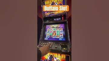 You can win with this Buffalo Slot Strategy in Las Vegas #cashout #buttonslapper