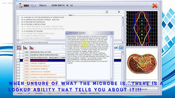 Sensitiv Imago (SI) Key Concepts: Assessment of Base Catalogue: Microbial Biocenoses Part 3