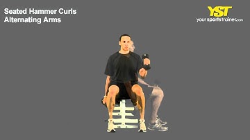 Seated Hammer Curls Alternating Arms