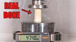 How Strong Is a Bone?? Hydraulic Press Test!