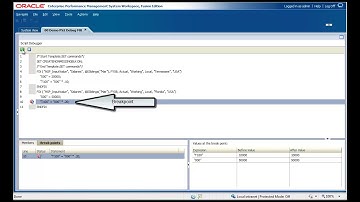Overview: Calculation Manager Debug Feature