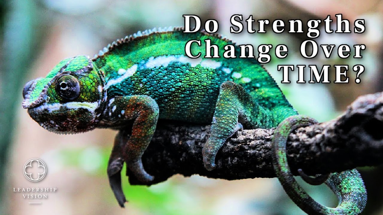 Leadership Vision Consulting StrengthsFinder