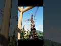 Falcon by ZeroSense Planet Coaster 2