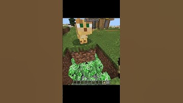 Which Type of Minecraft Player Are You? 😳 #minecraft #shorts