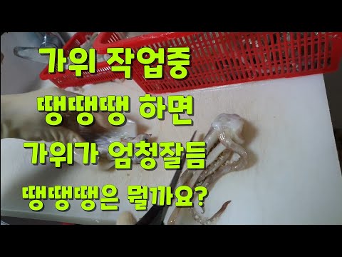 [선동 오징어 작업]  가위가 안들때 땡땡땡 하면 완전대박 잘듬 영상 중간에 답이 있어여