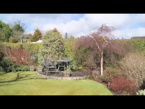 Property Photo tour