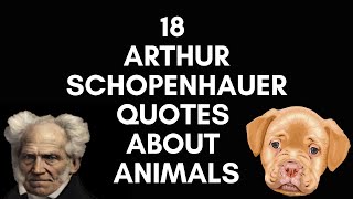 18 Arthur Schopenhauer Quotes About Animals