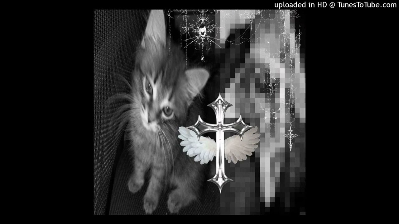 [FREE] dark mylancore x heymylan x vampviolence type beat - 