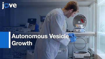 In Vesiculo Synthesis-Peptide Membrane Precursors For Autonomous Vesicle Growth l Protocol Preview