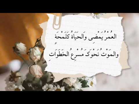 يا سعد جاهد هواك راحة نفسية حالات واتس مجاهد قصيدة لايك اشتراك قصائد شعر 2025 الهوى Trend 