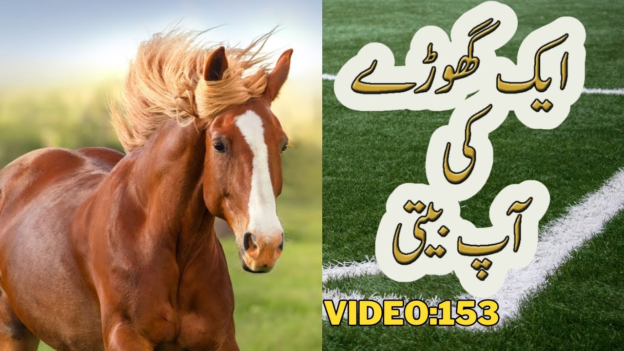 Aik Ghorey Ki Aap Beeti | ایک گھوڑے کی آپ بیتی | Autobiography Of A Horse