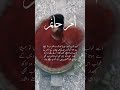 Novel :Sulphite | best urdu novel #novela #novelsstories #novelshorts #fiaba