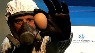 Making an Egg Indestructible with Spray-On Paint