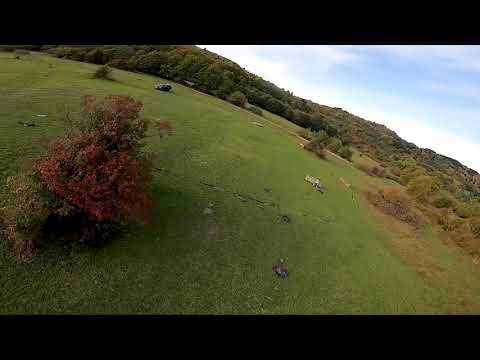 შემოდგომის შაორი - რაჭა