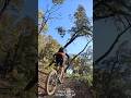 Trace 0473 - Descente vers Viviers. Superbe ce single. C'est presque tout droit 👌. #vtt #mtb
