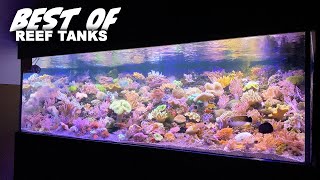 GERMAN REEF TANKS - BEST OF - Part 1 *saltwater aquarium highlights* 4k
