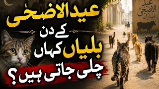 Eid Ul Adha Ky Din Billiyan Achanak Kahan Gyeb Ho Jaati Hain ?
