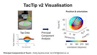 Aquilina, Barton, Lepora 2018 Icra Spotlight Video