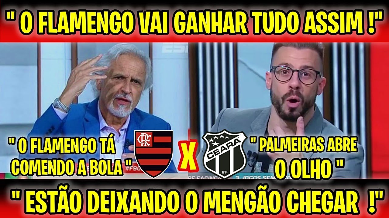 SORMANI PERDE A LINHA E RASGA ELOGIOS AO FLAMENGO EST O DEIXANDO ELES 