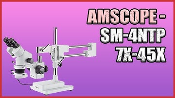 AmScope SM 4NTP 7X 45X | Best Stereo Microscopes