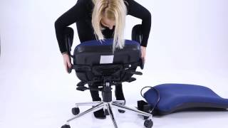 Dynamic Chiro Assembly Video