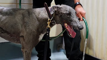 Eriza Sparkles trials at The Meadows ahead of Topgun