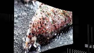 Desay X series P2.5 curved LED screen