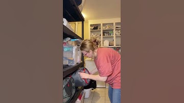 30 Days of Decluttering