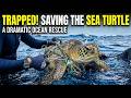 The Sea Turtle Tangled in Plastic | A Dramatic Ocean Rescue