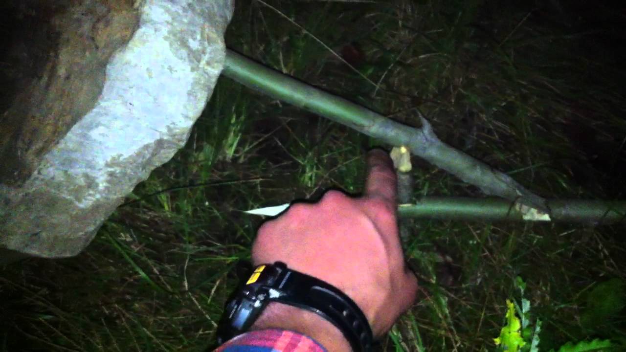 Dead Fall Trap 