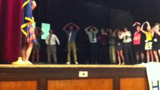 Section Green Cheer 2012 @ HOBY
