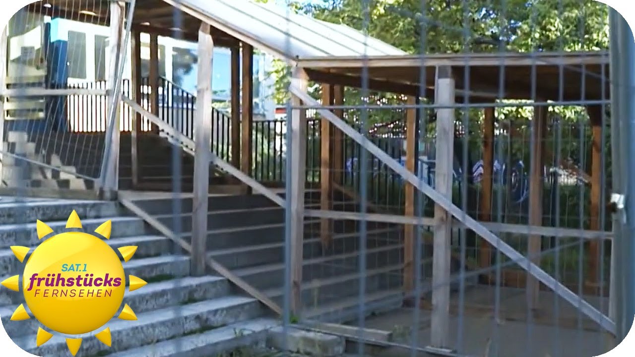 Hilfe, unsere Schule zerfällt! Berliner Gymnasium droht die Schließung | SAT.1 Frühstücksfernsehen