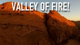 VALLEY OF FIRE 🔥 (LAS VEGAS) WITH MOUNTAIN GOATS! | Phantom 4 4K Drone Video