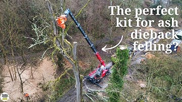 How Magni telehandler is meeting contractor