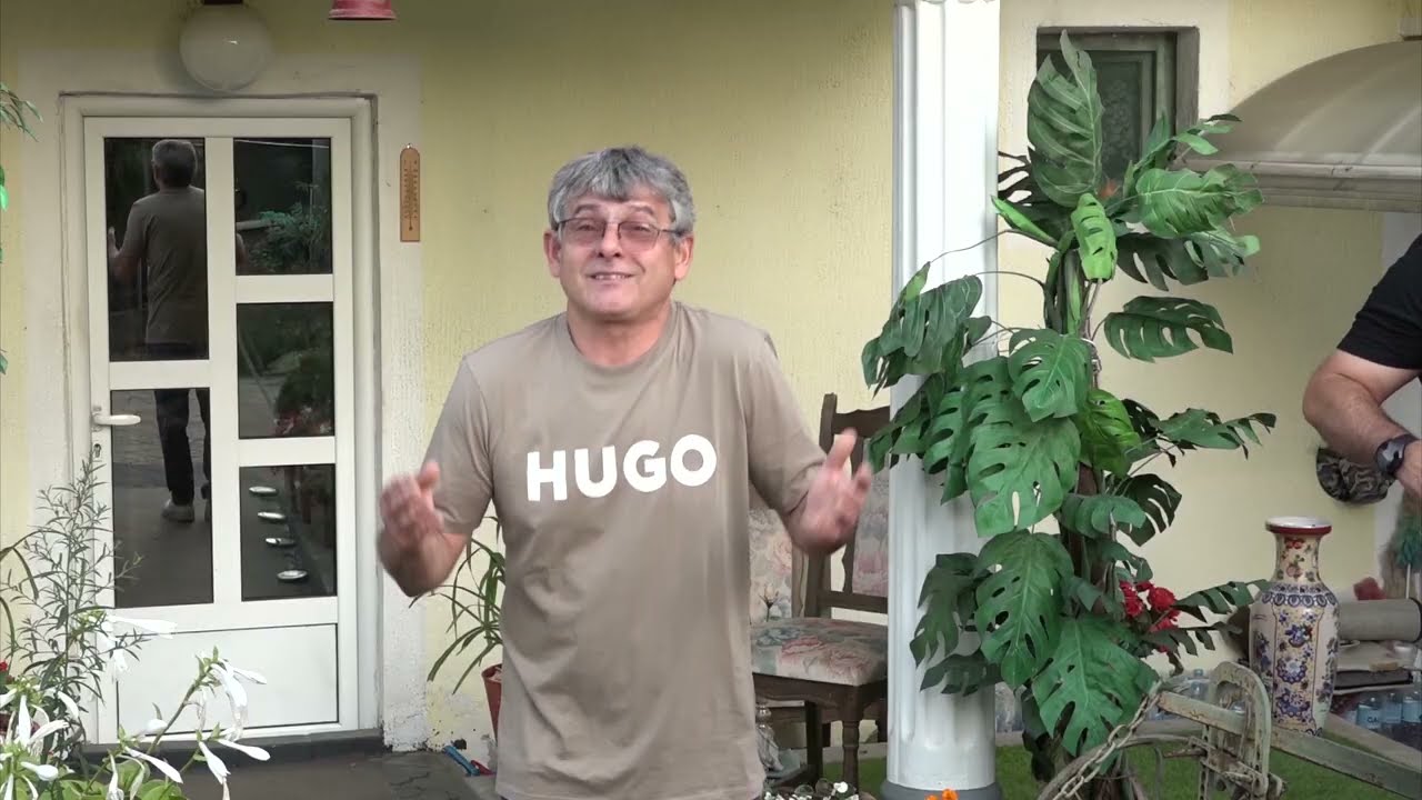 Ljubiša Trifunović Trta - Parinci mjej