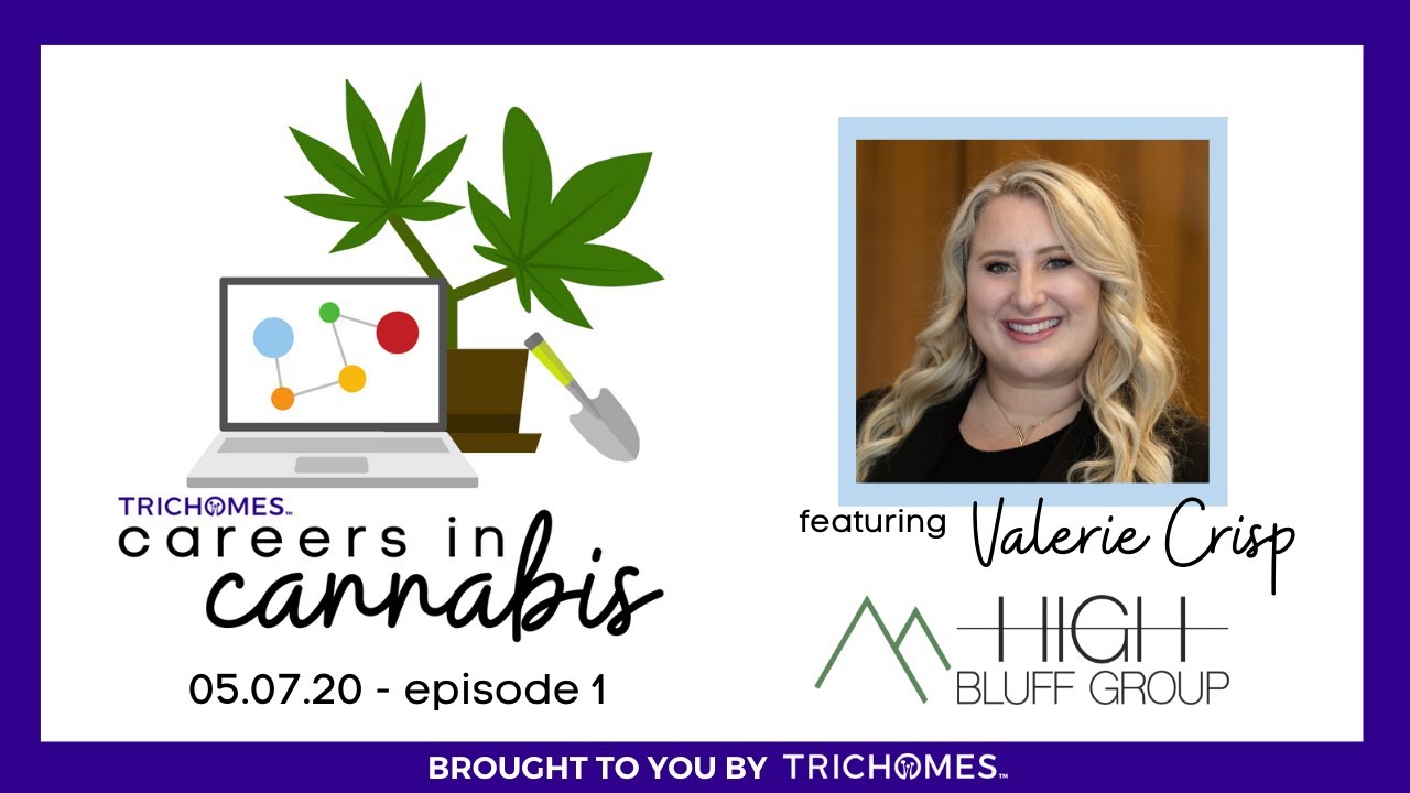 TRICHOMES CAREERS IN CANNABIS F. VALERIE CRISP FROM HIGH BLUFF GROUP