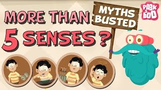 How Many Senses Do We Have?  Myths Busted | The Dr. Binocs Show | Busting The Myth of 5 Senses