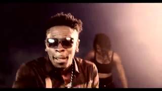 Shatta Wale   Dancehall King Official Video   Resolution360P MP4