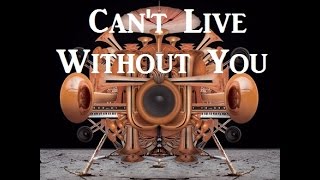 Owl City - Can't Live Without You W/Lyrics