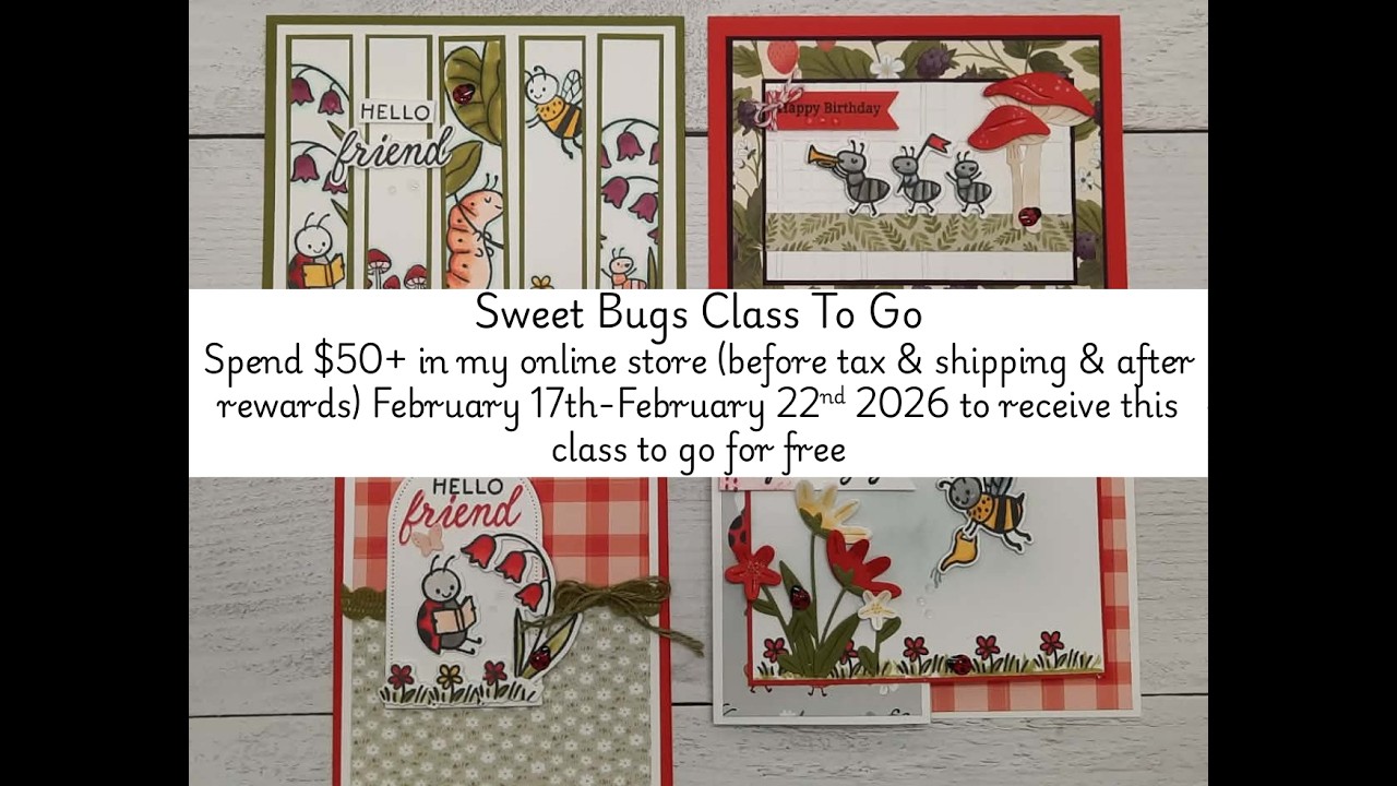 Sweet Bugs Class To Go