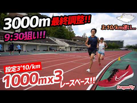 Just Before the Nawa Night Meet | Final Check with 3x1000m Build-up!! Can I Hit 3:10??